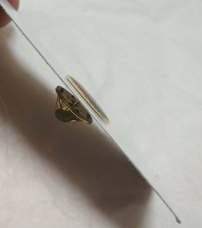 Odznak moravský znak s puzetou